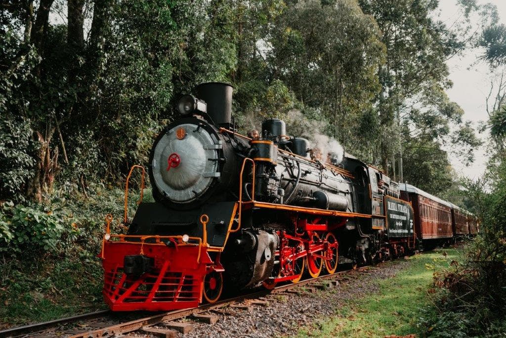 8fy6NZrR3X-1